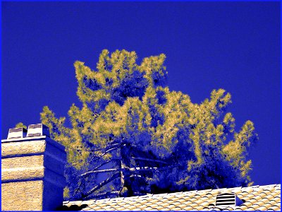 Chromatic 3D 1AF6