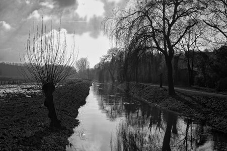 Landscape nature green