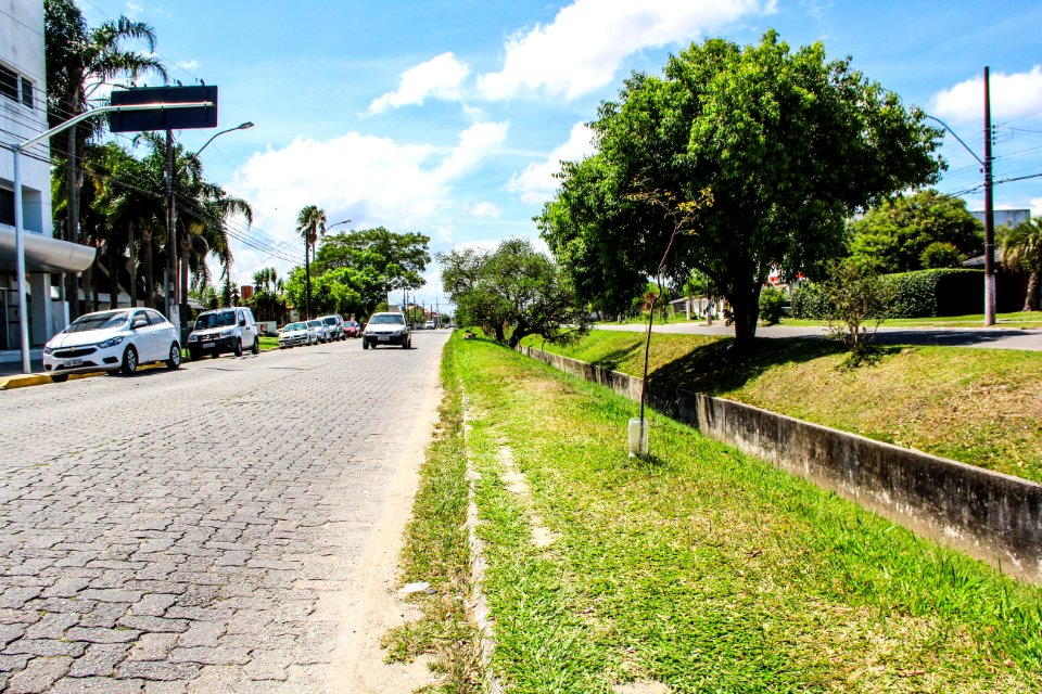 10.01.2018 - Requalificação do calçamento da avenida São Francisco de Paula