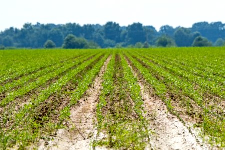 20190625-NRCS-LSC-0436
