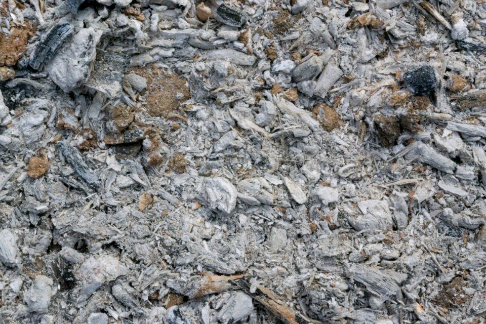 ashes