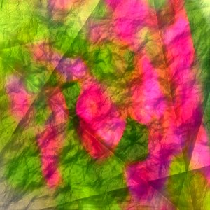 free crumpled paper