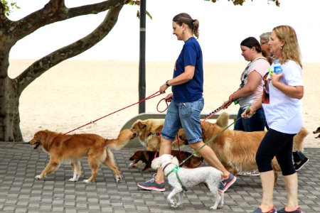 28.01.2018 - Prefeita Paula Mascarenhas participa da Cãominhada do jornal Diário Popular na Praia do Laranjal