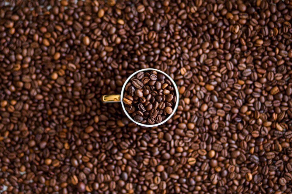 Cocoa caffeine starbucks