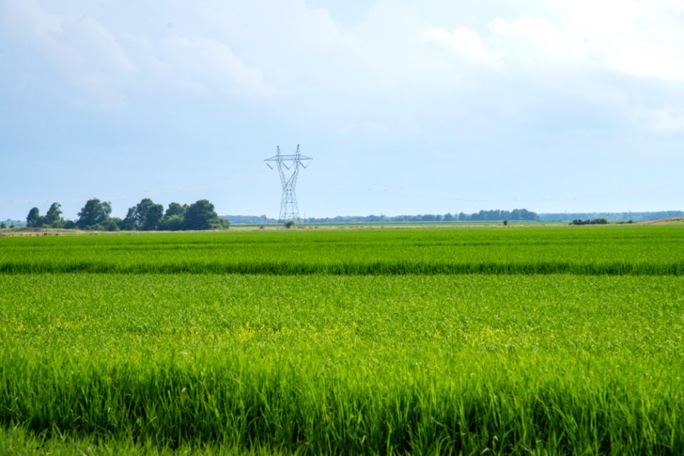 20190625-NRCS-LSC-0691