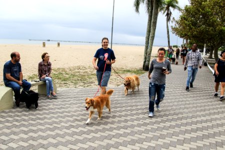 28.01.2018 - Prefeita Paula Mascarenhas participa da Cãominhada do jornal Diário Popular na Praia do Laranjal