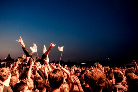 Crowdsurfing at the Tocotronic show photo