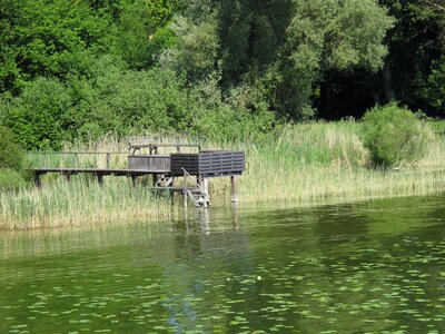 Nature landscape boardwalk