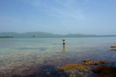 Looking for seashells