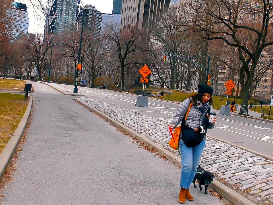 New York City  |  Central Park