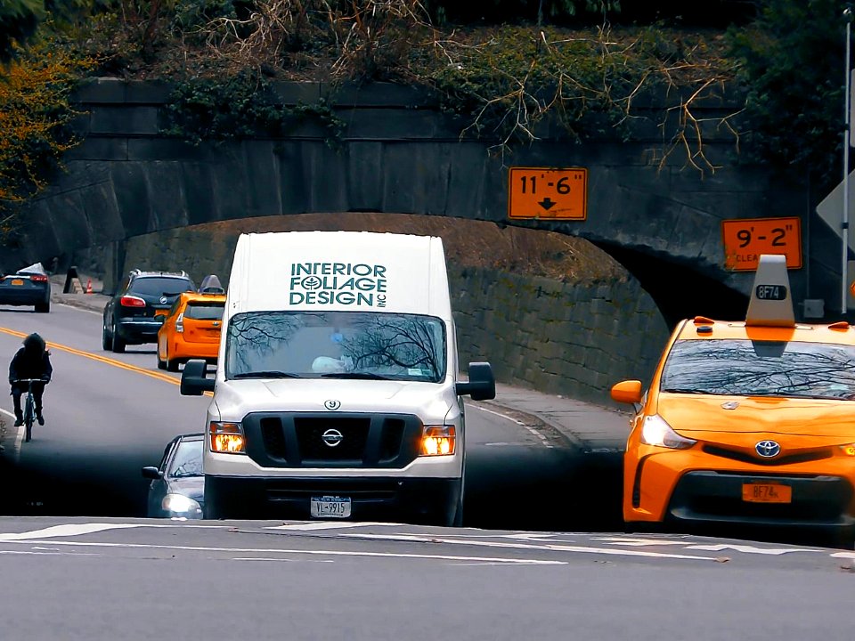 New York City  |  Central Park