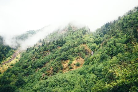 Trees slope highlands