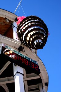 New Year's Pine Cone Drop