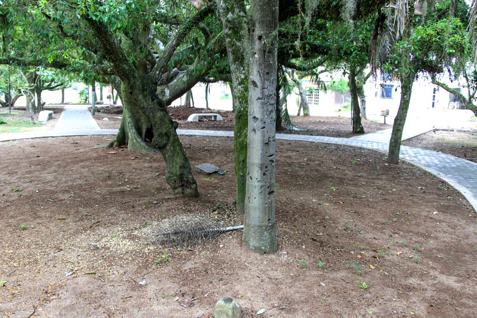 28.01.2018 - Requalificação da praça localizada junto ao Shopping Mar de Dentro no Laranjal