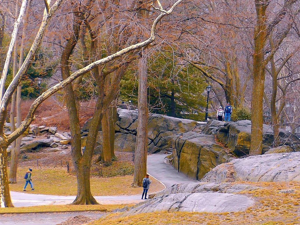 New York City  |  Central Park