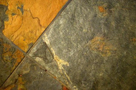 X Marks the Tile