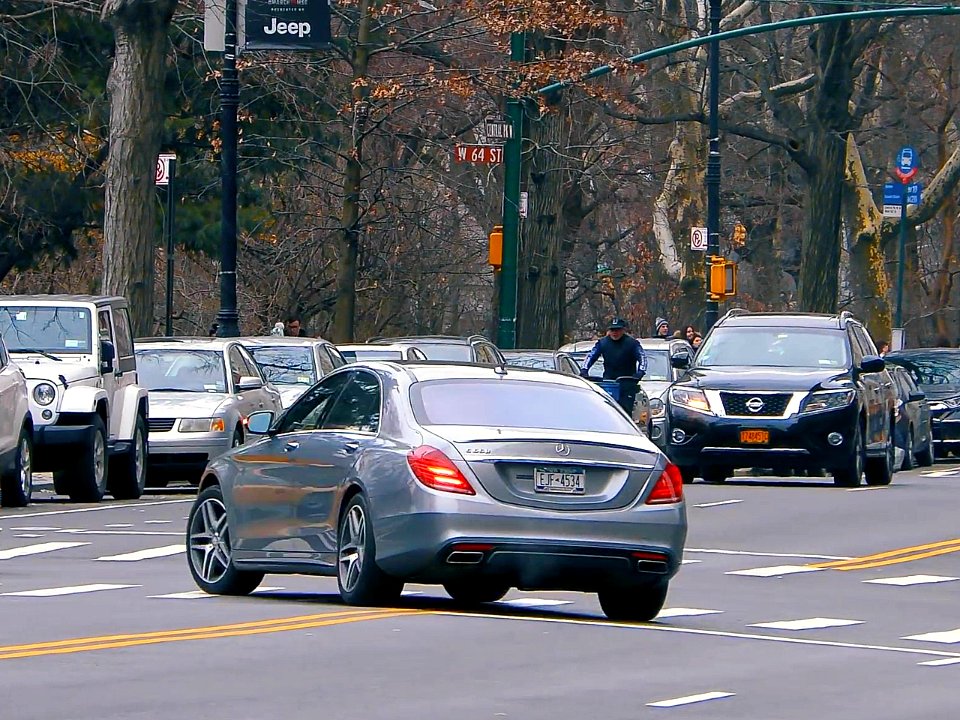 New York City  |  Central Park