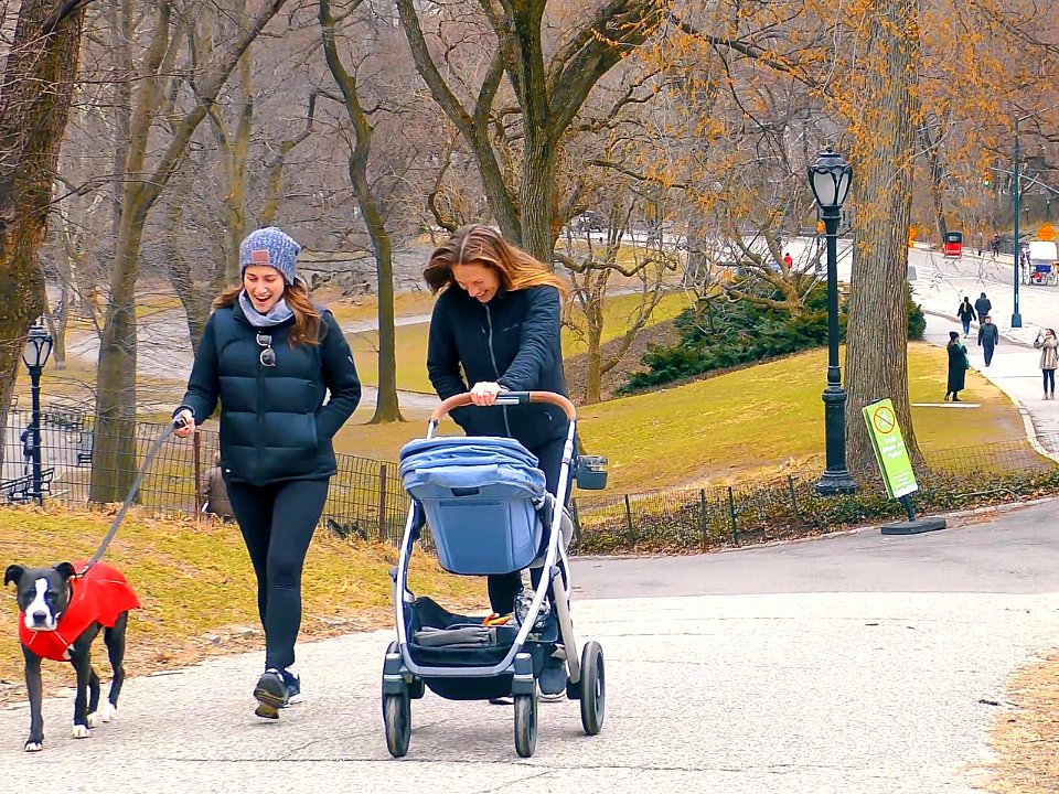 New York City  |  Central Park