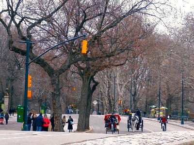 New York City  |  Central Park