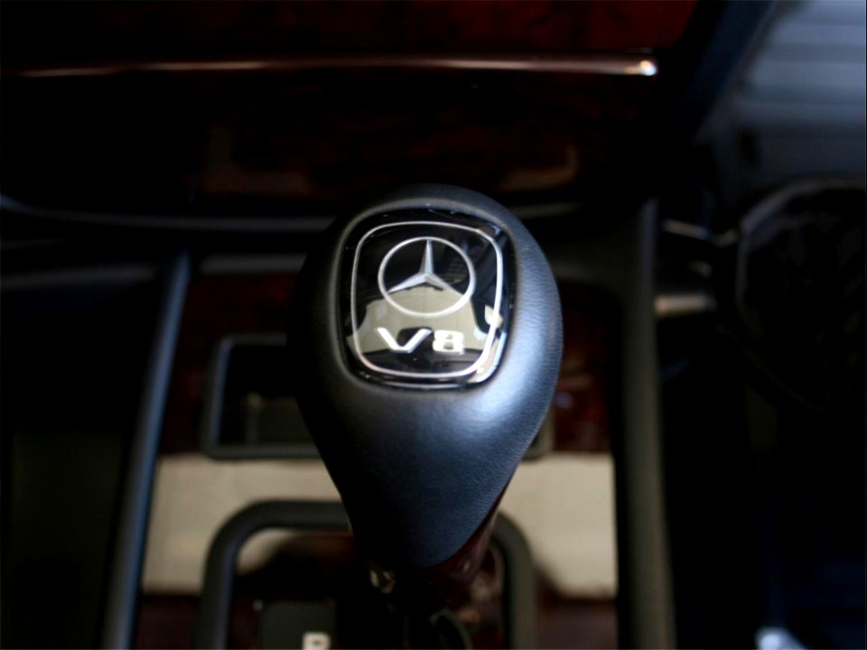 Mercedes-Benz G-Klasse (W463)