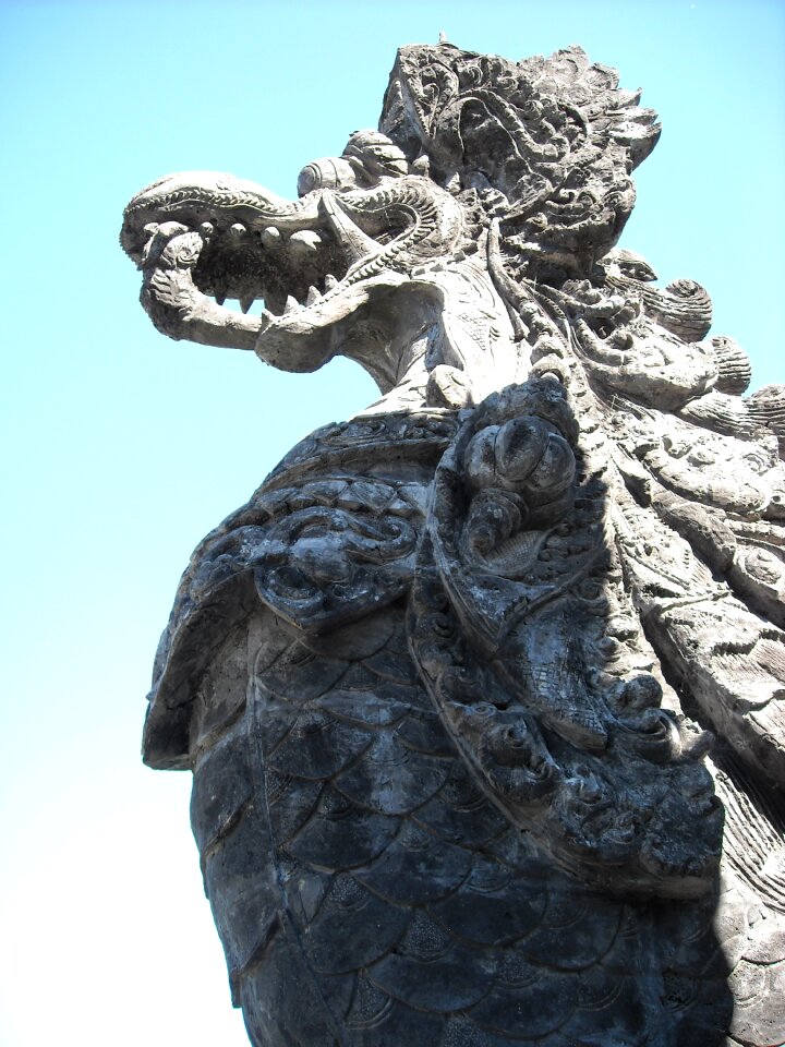 Dragon oriental asian