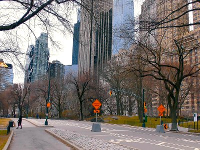 New York City  |  Central Park