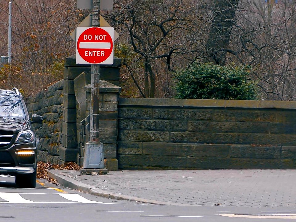 New York City  |  Central Park