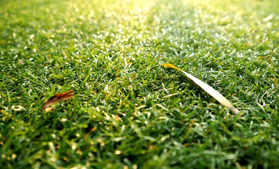 Nature autumn leaves autumn