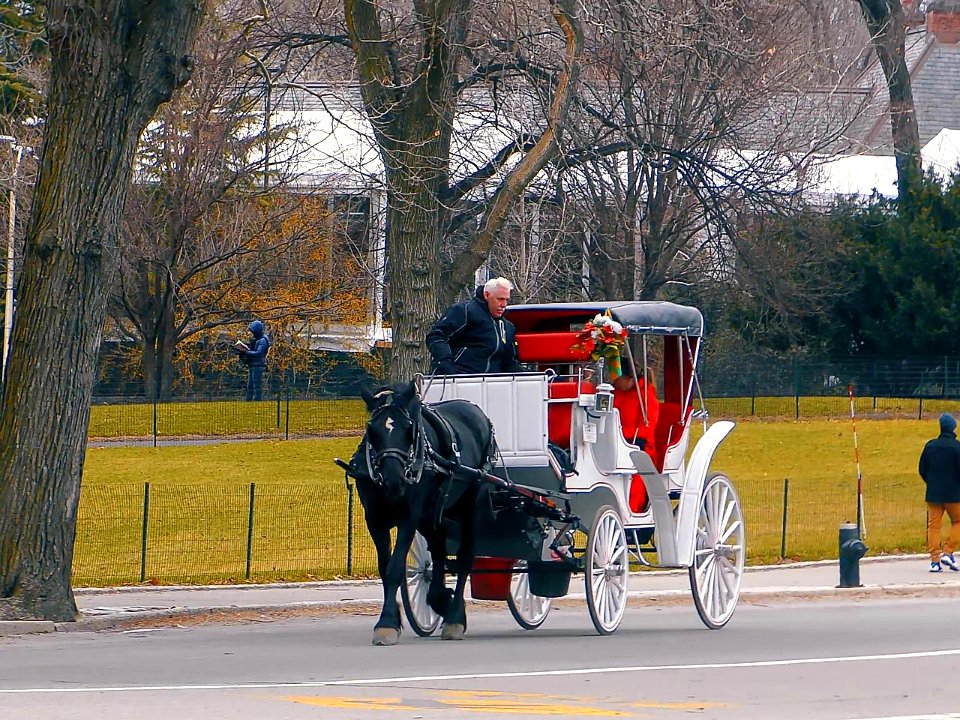 New York City  |  Central Park