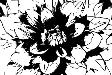 Line art
