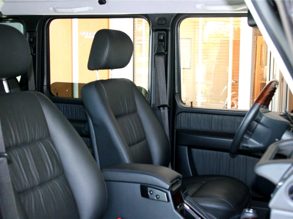 Mercedes-Benz G-Klasse (W463)