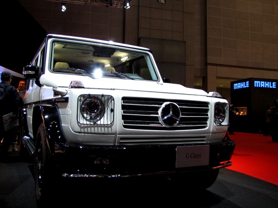 Mercedes-Benz G-Klasse (W463)