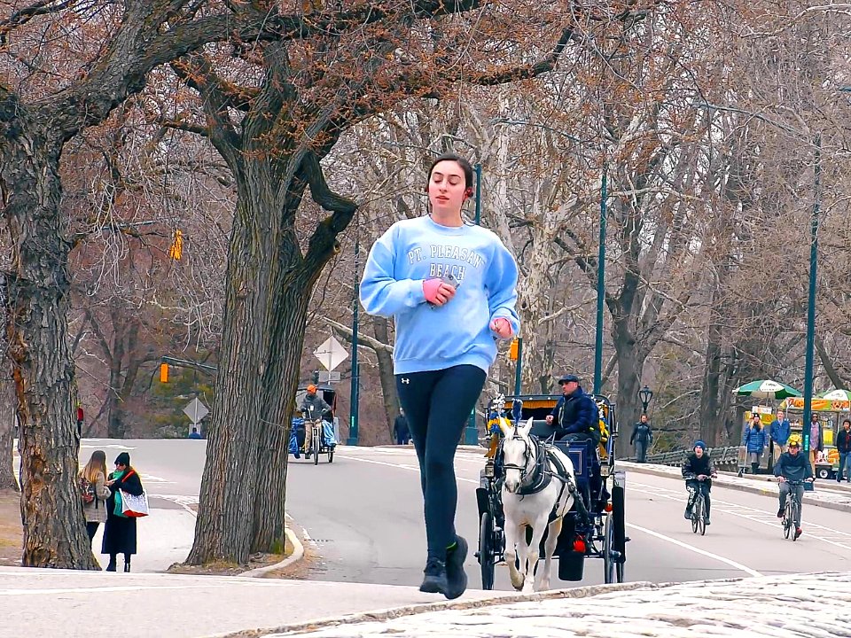 New York City  |  Central Park