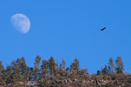 Flying Around the Moon
