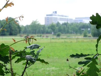 03 Eindhoven (1)