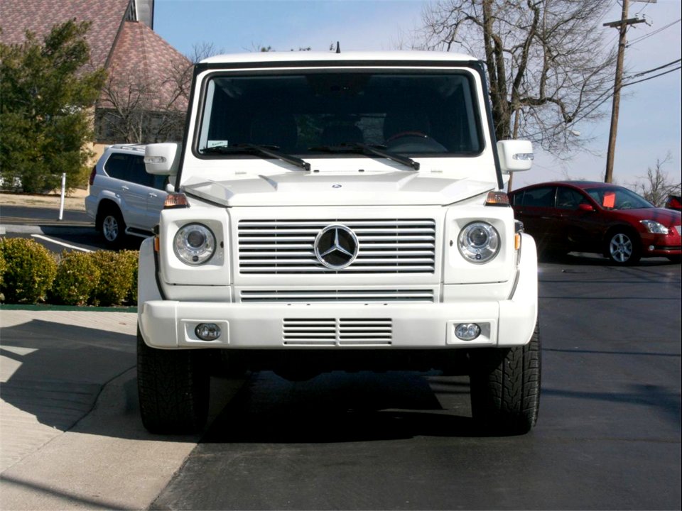 Mercedes-Benz G-Klasse (W463)