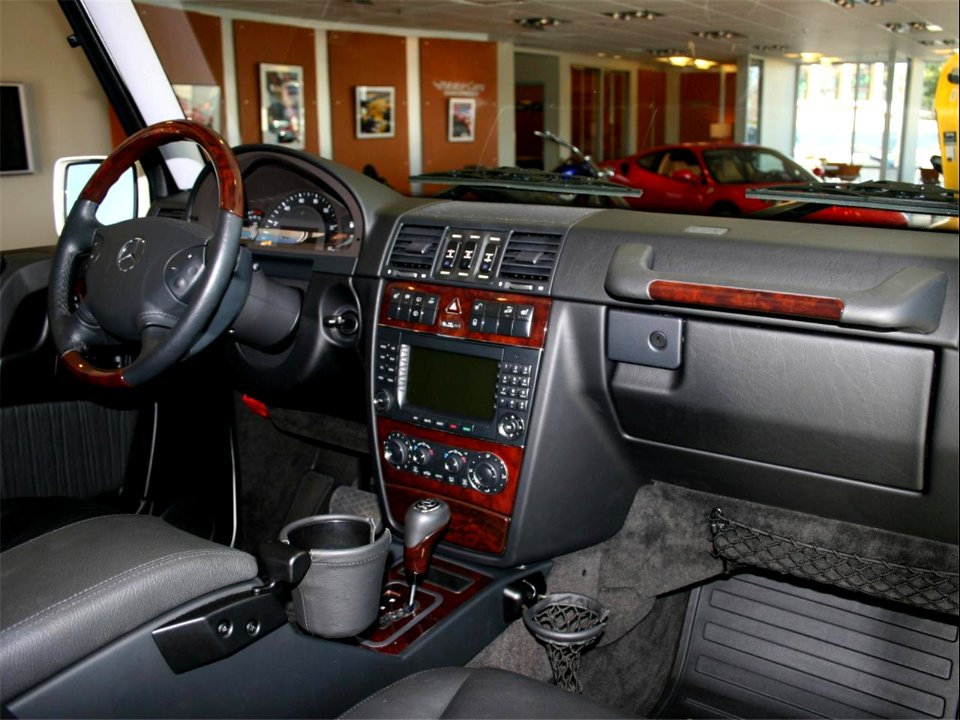 Mercedes-Benz G-Klasse (W463)