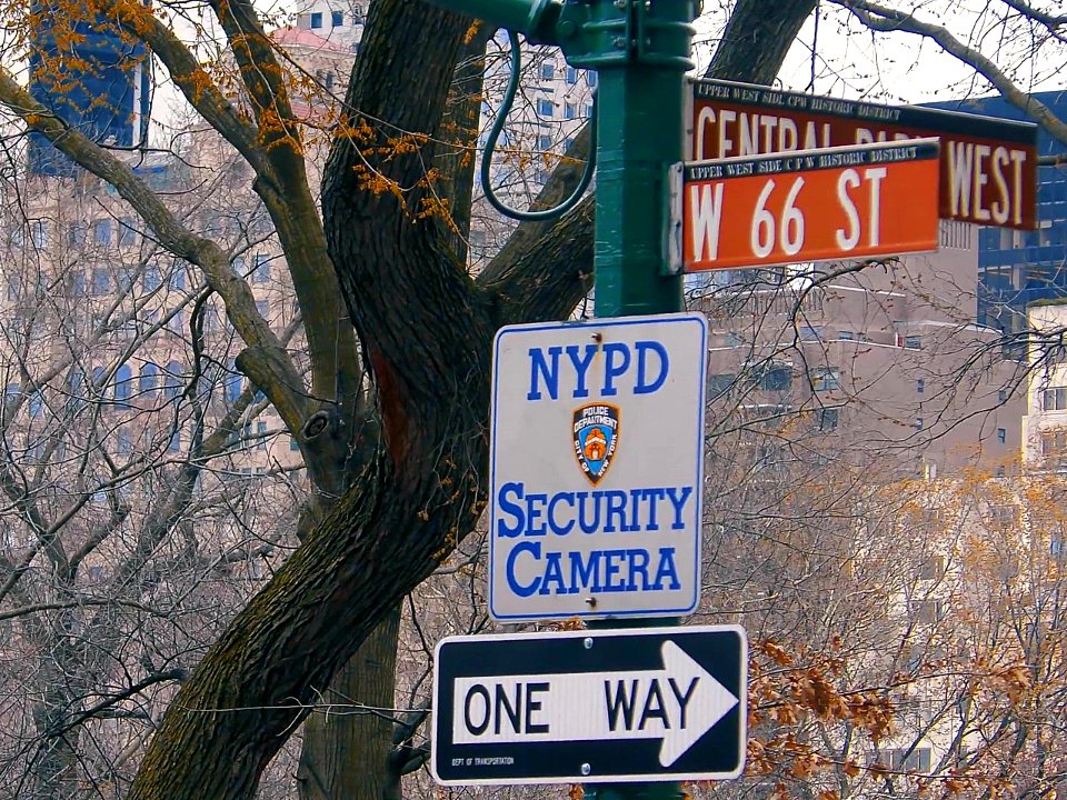 New York City  |  Central Park