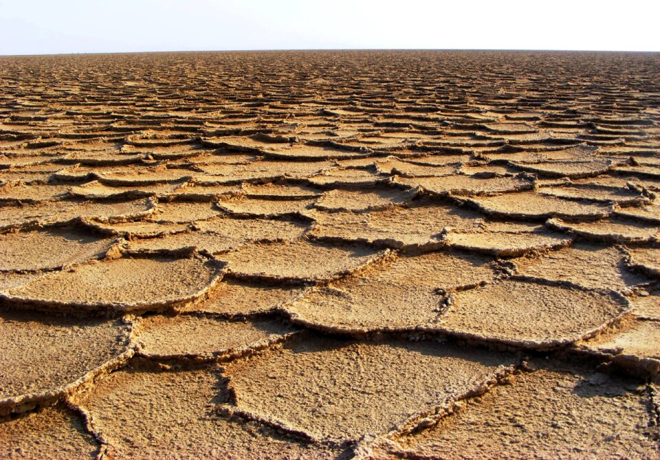 Nature landscape dry photo