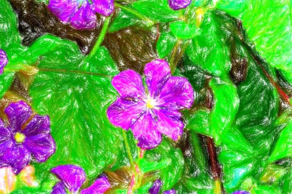 DSC 0130 wax crayon