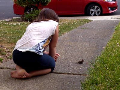 Baby Bird