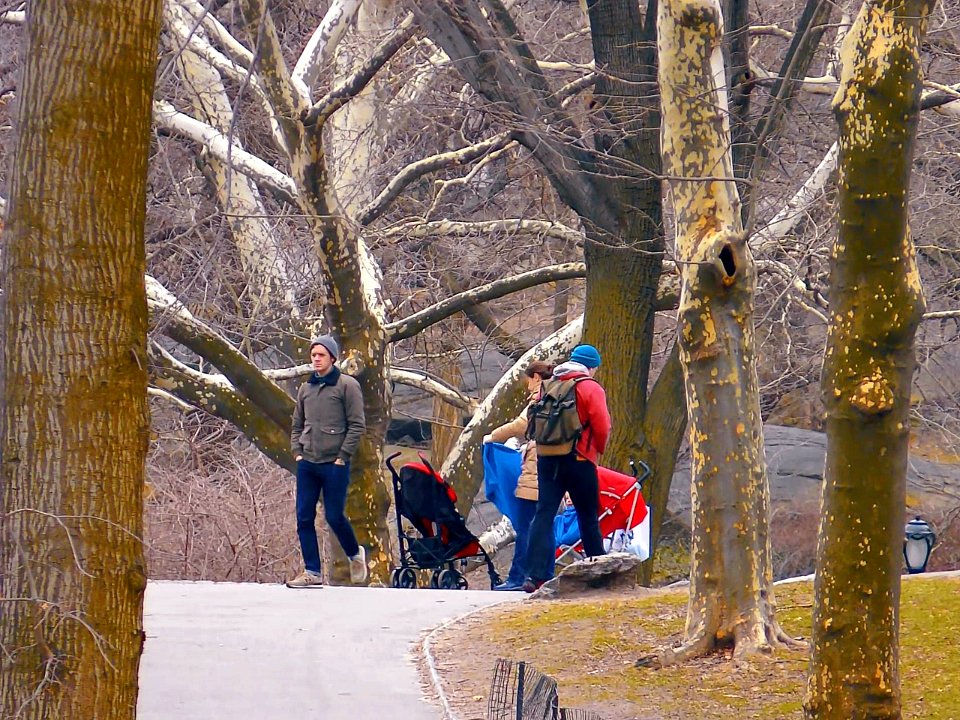 New York City  |  Central Park