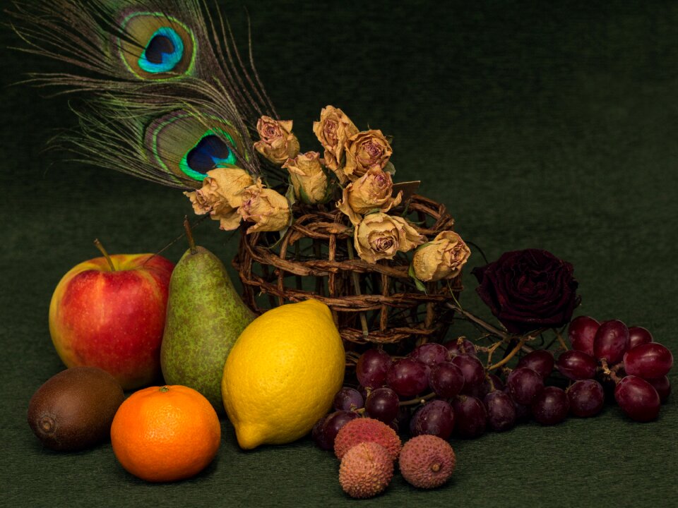 Tropical fruits citrus fruits dried flowers