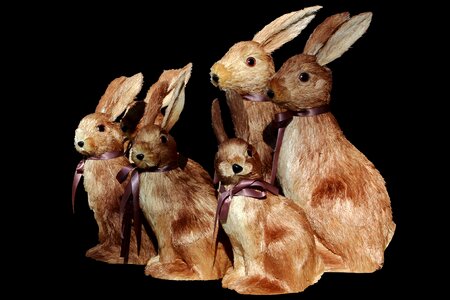 Chocolate bunny figure graphic