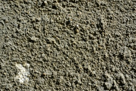 plaster