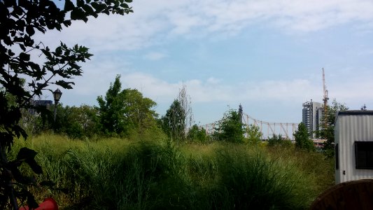 worked in the park