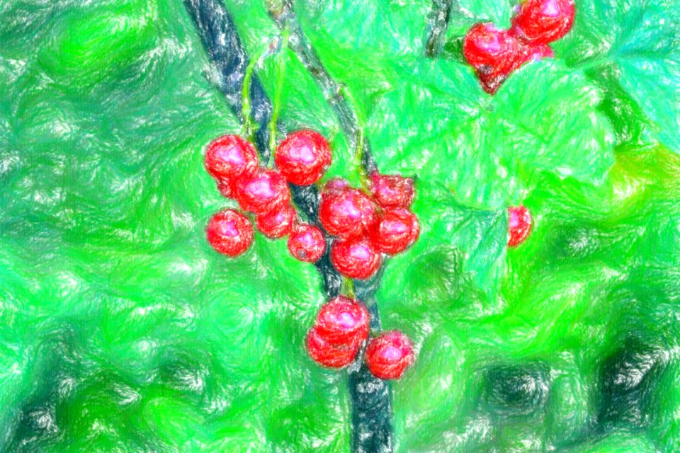 DSC 0037 wax crayon