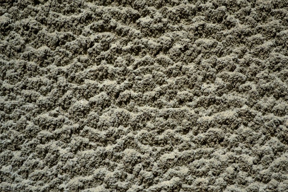 tencuiala