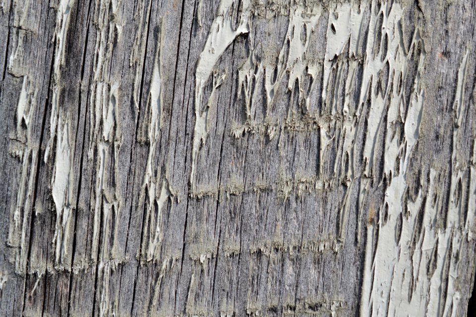 wood