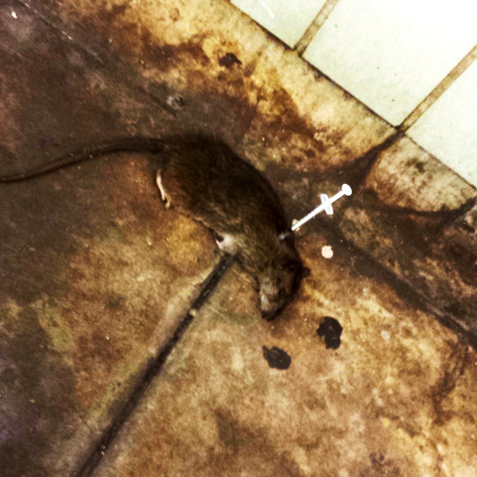 Drugs kill,  nyc subway